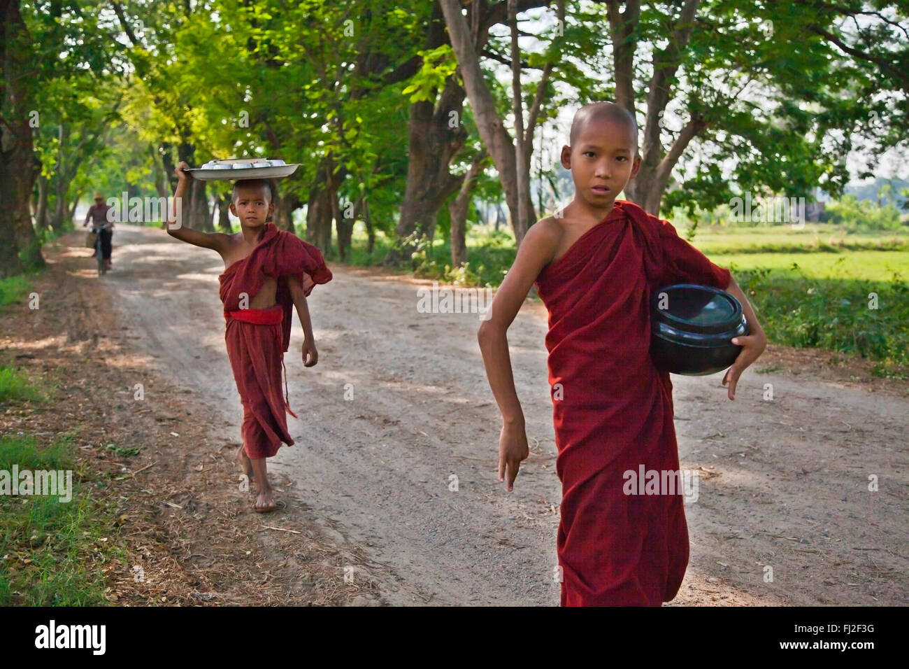 Giovani monaci su strada nel centro storico di INWA che è servita come regni birmani di capitale per 400 anni - Myanmar Foto Stock