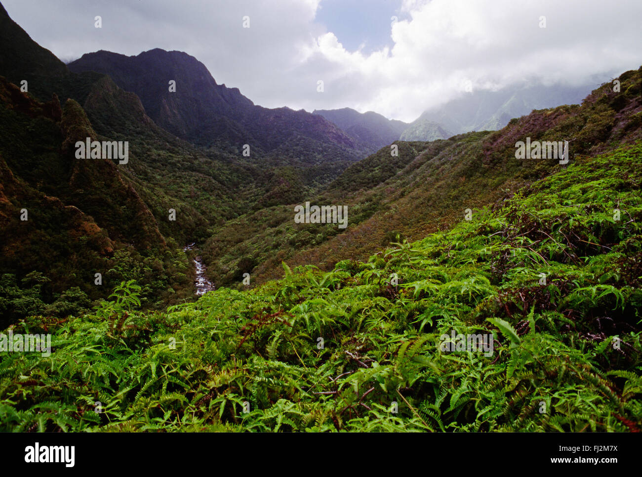 La IAO VALLEY - Maui, Hawaii Foto Stock