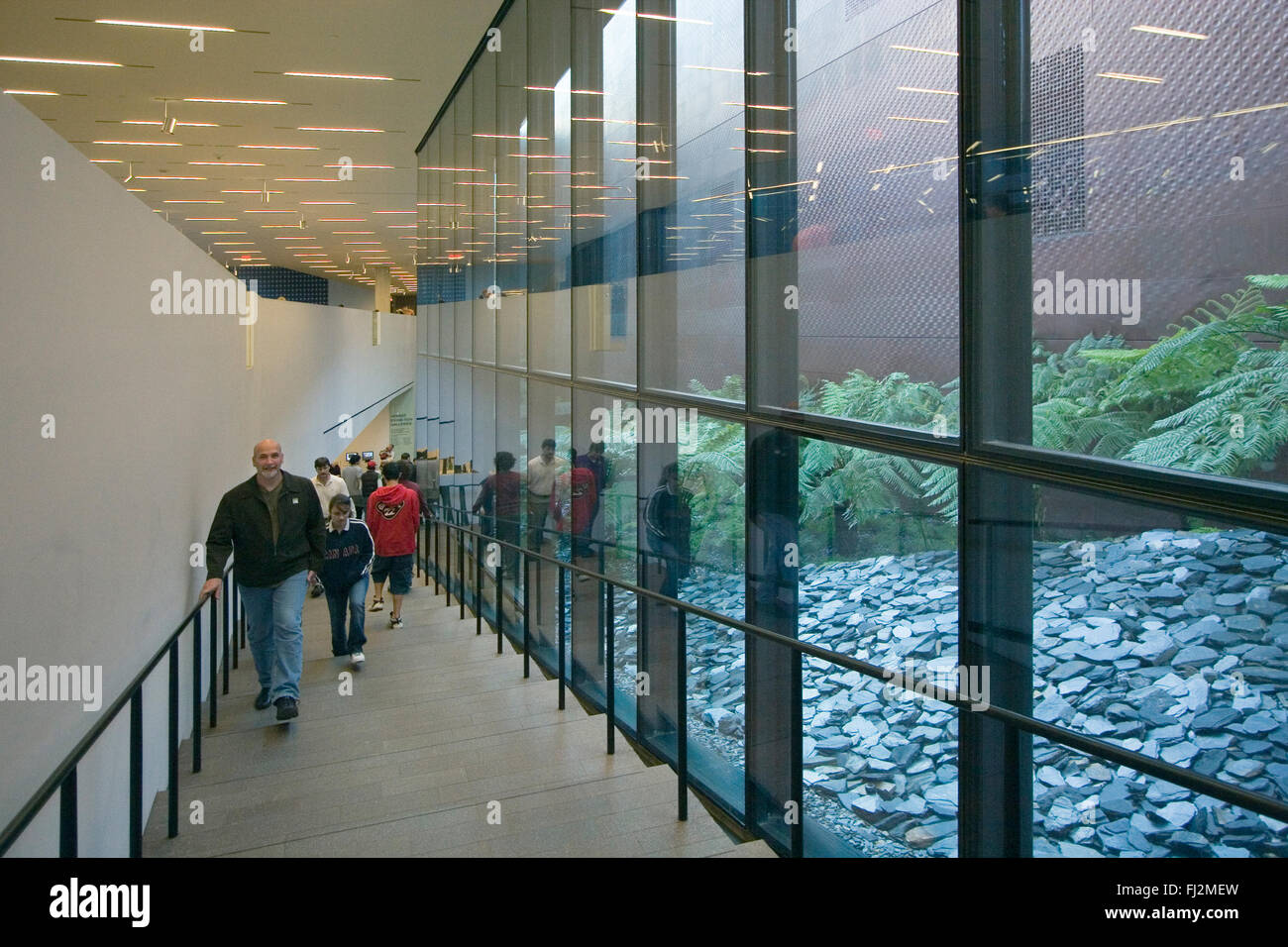 I visitatori nel nuovo Museo di de Young, costruito dagli architetti Herzog e de Meuron - SAN FRANCISCO, CALIFORNIA Foto Stock