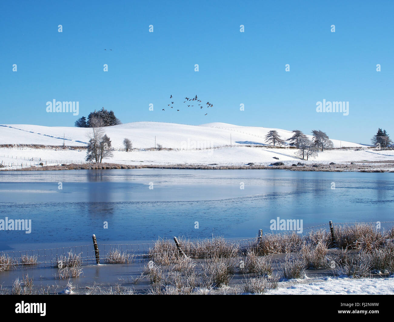 Scena invernale oltre il lago ghiacciato in Galles Centrale Foto Stock