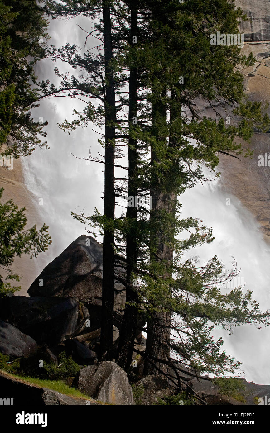 NEVADA FALLS durante la primavera run off gocce 594 piedi come teste nella Yosemite Valley - Yosemite National Park, California Foto Stock