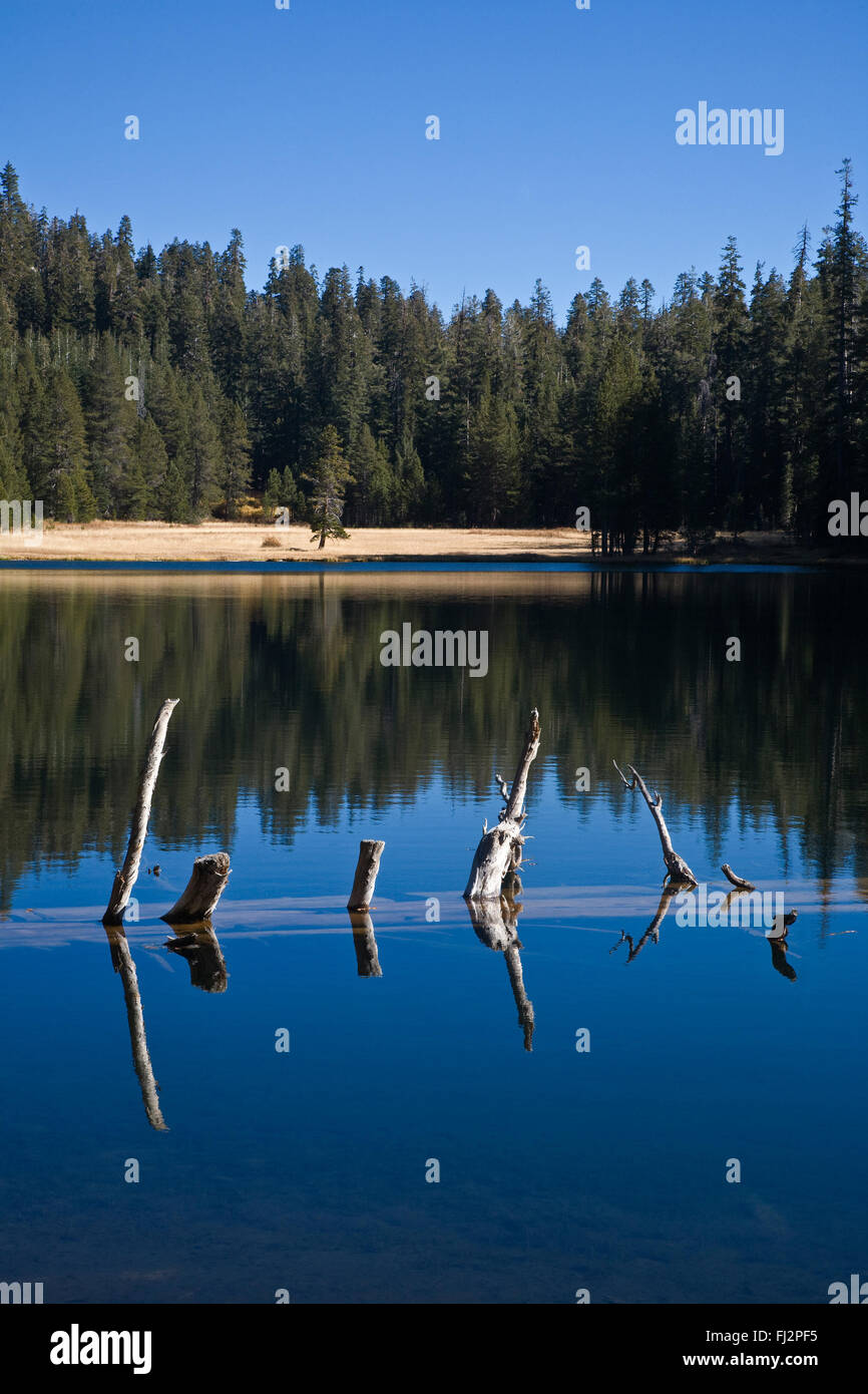 LUKENS lago è a 3 km a piedi dal lupo bianco camp off del Tioga pass Road - Parco Nazionale di Yosemite, CALIFORINA Foto Stock