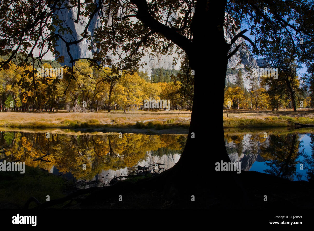 I colori autunnali sono riflessi nel fiume Merced - Parco Nazionale di Yosemite in California Foto Stock