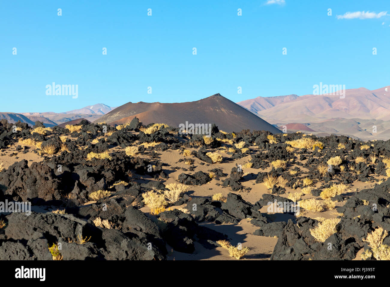 Vulcano di Puna desert, Argentina Foto Stock