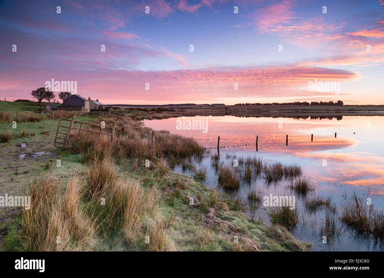 Un bellissimo tramonto su cottages in Dozmary Pool un misterioso lago immerso nella leggenda arturiana vicino Bolventor su una parte remota Foto Stock