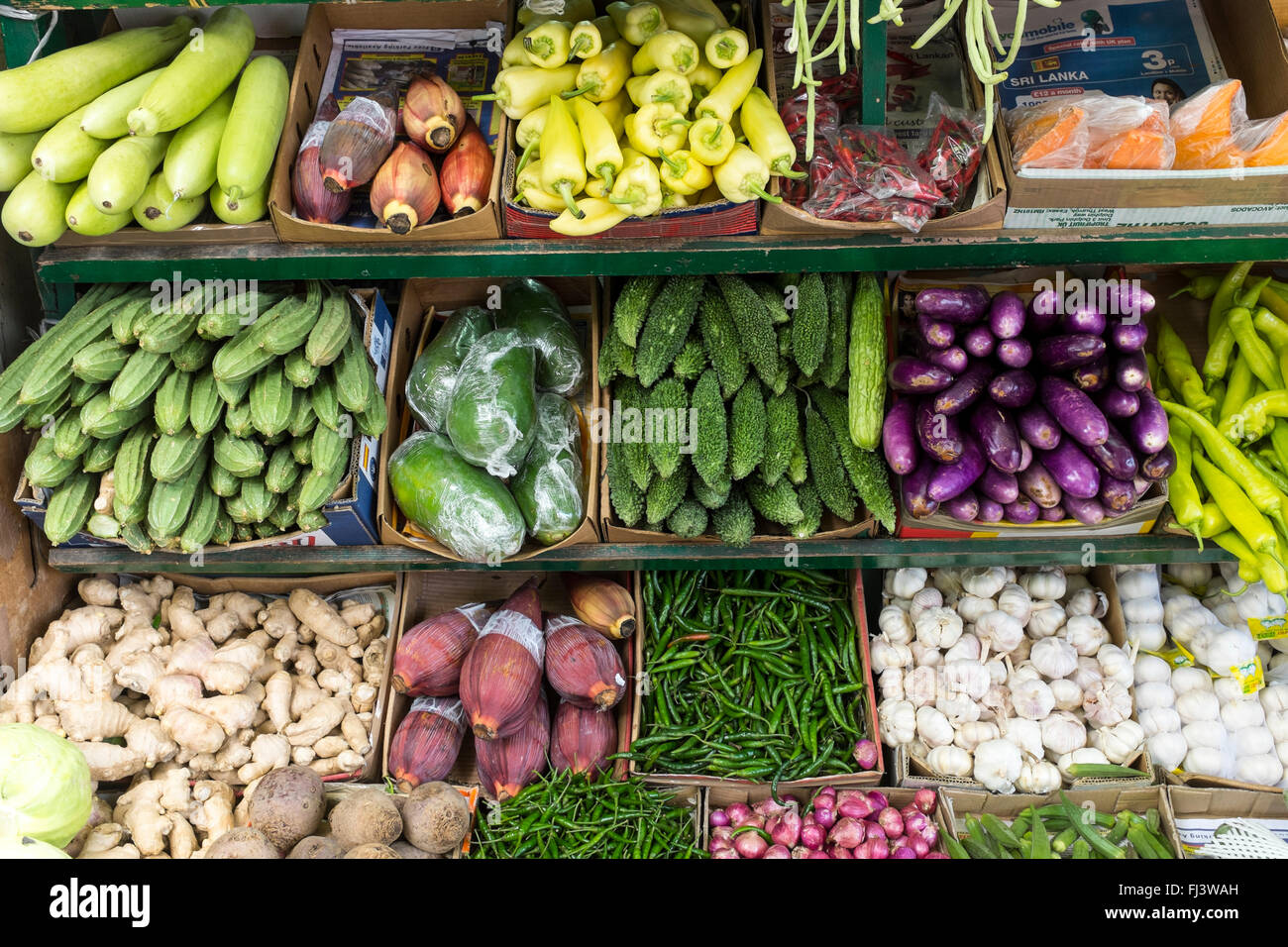 La visualizzazione di una varietà di verdure da ortolano indipendenti, Londra Foto Stock
