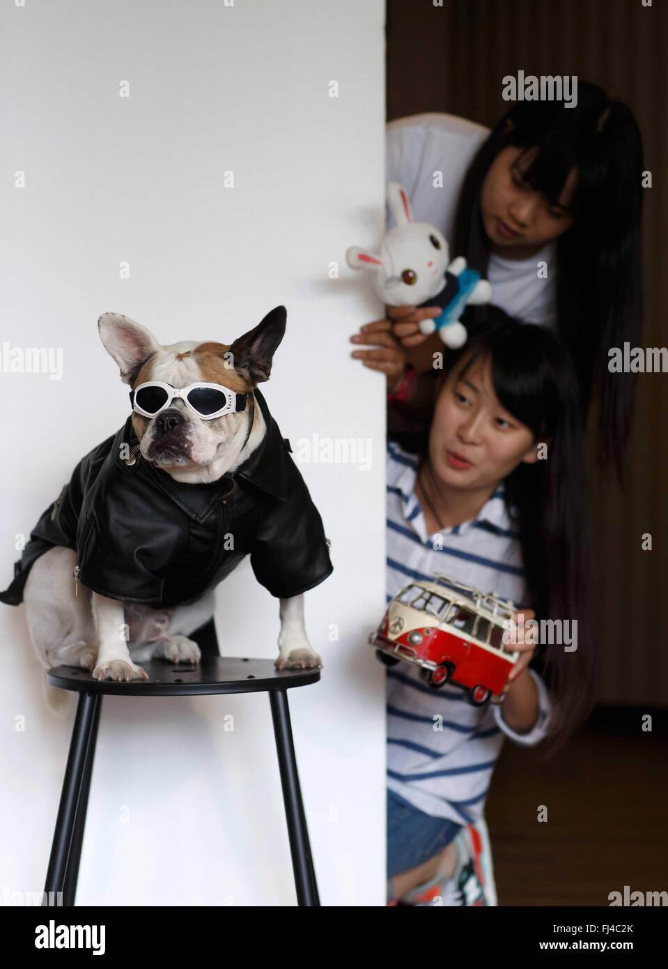 Pechino, Cina. Il 29 febbraio, 2016. I giovani creatori Zong Wenqi (inferiore) e Ni Jianling rendono la preparazione in vista di un cane progetto di fotografia al loro studio di Nantong, est cinese della provincia di Jiangsu, Sett. 22, 2015. Incoraggiando la messa imprenditorialità e innovazione, la Cina ha visto un record boom di avvio nel 2015 come un totale di 4,44 milioni di società sono stati stabiliti, fino 21,6 per cento rispetto a un anno fa. Più del 80 per cento delle nuove imprese erano in attività terziarie. Foto Stock