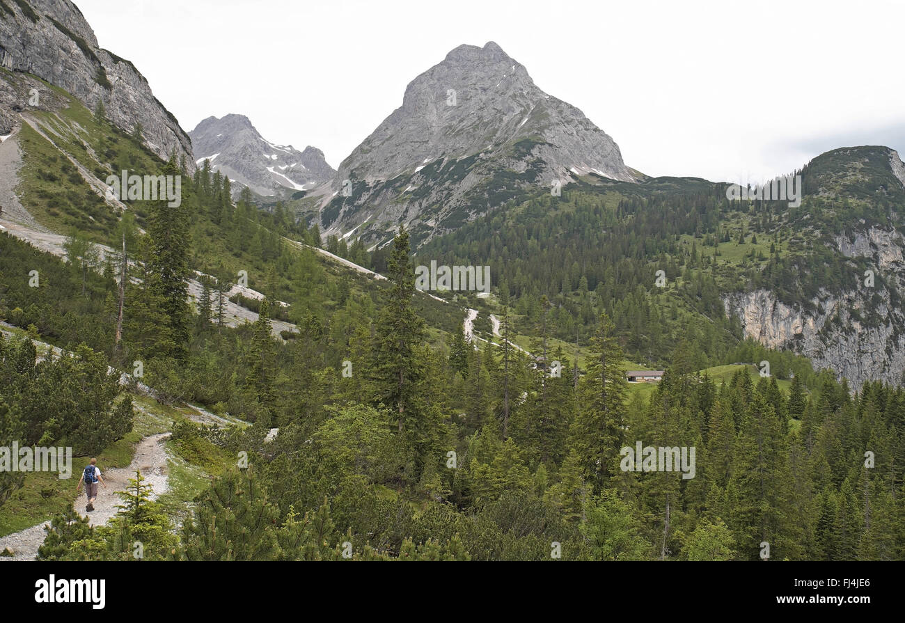 Passeggiate in montagna (lungo il tragitto per il seebensee) al di sopra di Ehrwald, alpi austriache, Austria. Foto Stock