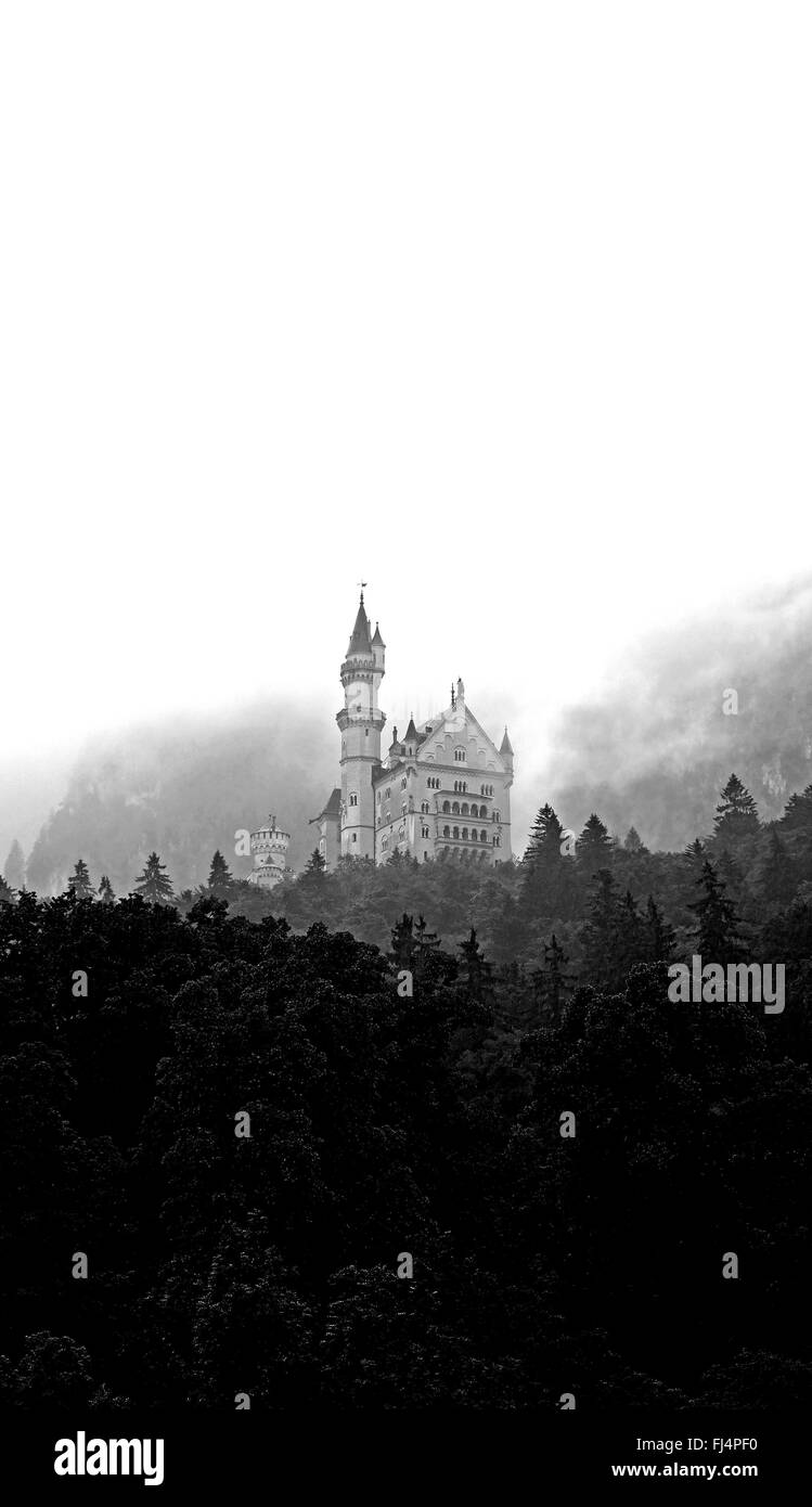 Il castello di Neuschwanstein, Baviera, Germania. Foto Stock