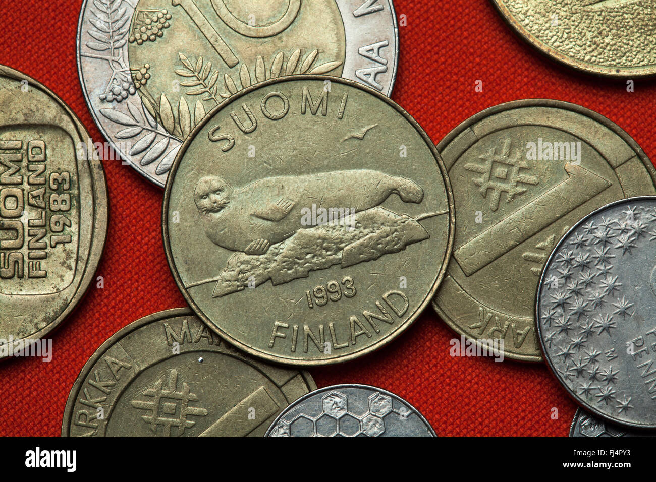 Monete di Finlandia. Saimaa inanellato guarnizione (Pusa hispida saimensis) rappresentata in finlandese cinque markka moneta (1993). Foto Stock