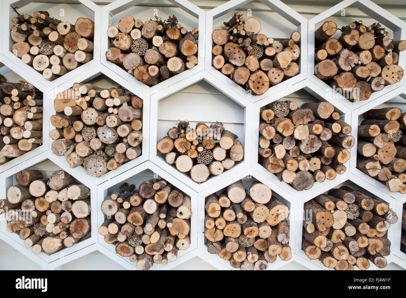 Struttura esagonale in legno piena di tronchi e legno per api solitarie insetti di api insetti di api insetti di insetti insetti insetti di insetti, hotel motel, giardino per animali, Regno Unito Foto Stock