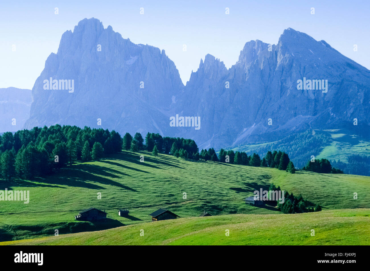 Vista dall'Alpe di Siusi al Sassopiatto e Sassolungo Gruppo, Italia, Alto Adige, Dolomiti Foto Stock