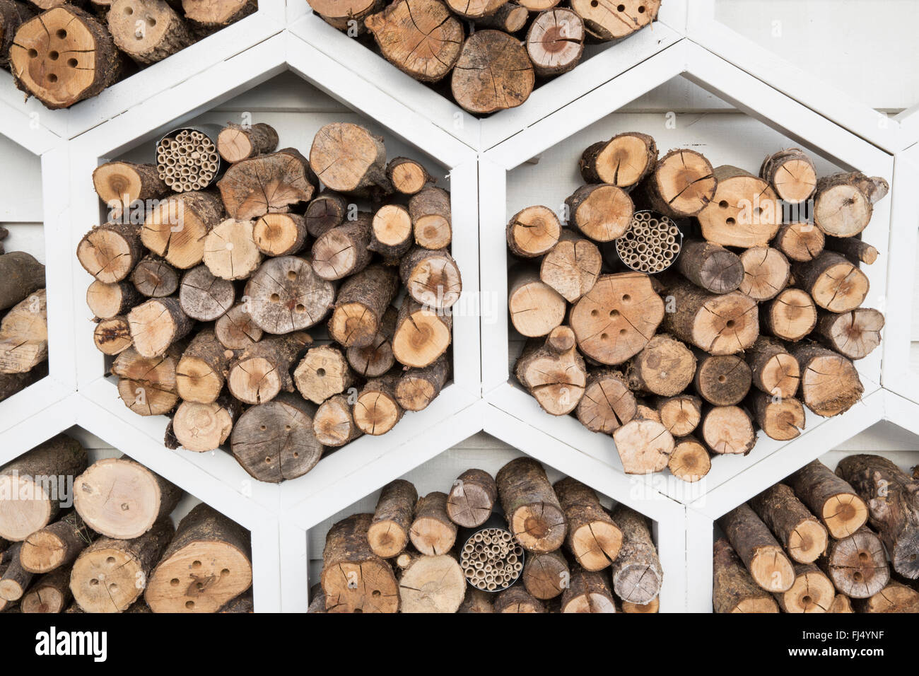 Giardino per impollinatori, Un deposito in legno esagonale per api api solitarie insetti insetti insetti insetti, insetti, insetti, motel hotel UK Foto Stock