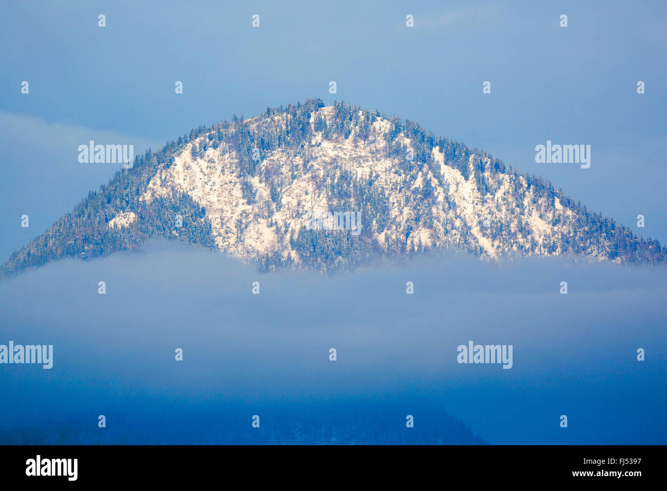Wildbarren vertice di polv nebbia, in Germania, in Baviera, Oberbayern, Alta Baviera, Oberaudorf Foto Stock