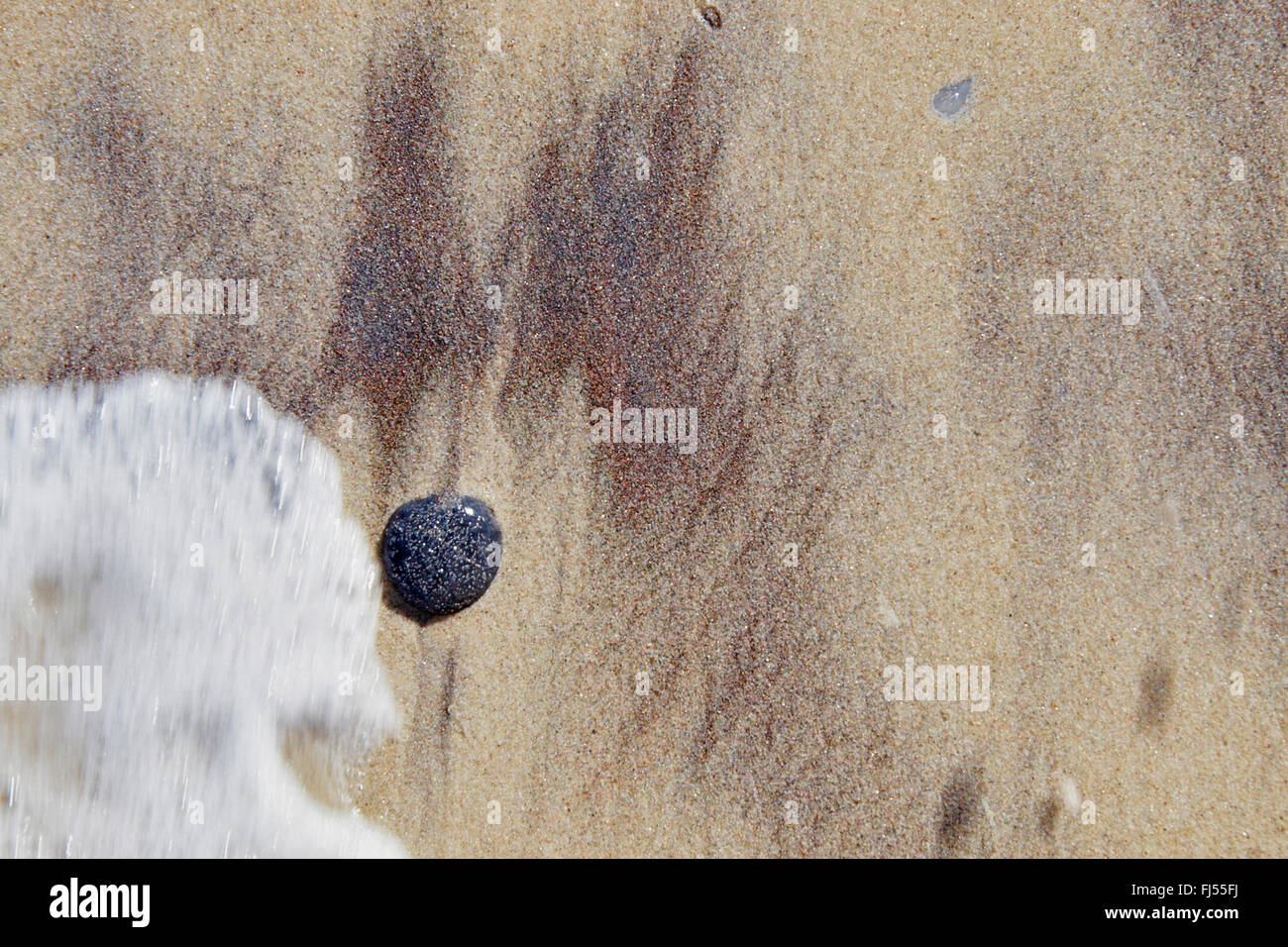 Singola pietra sulla spiaggia sabbiosa, Danimarca Foto Stock