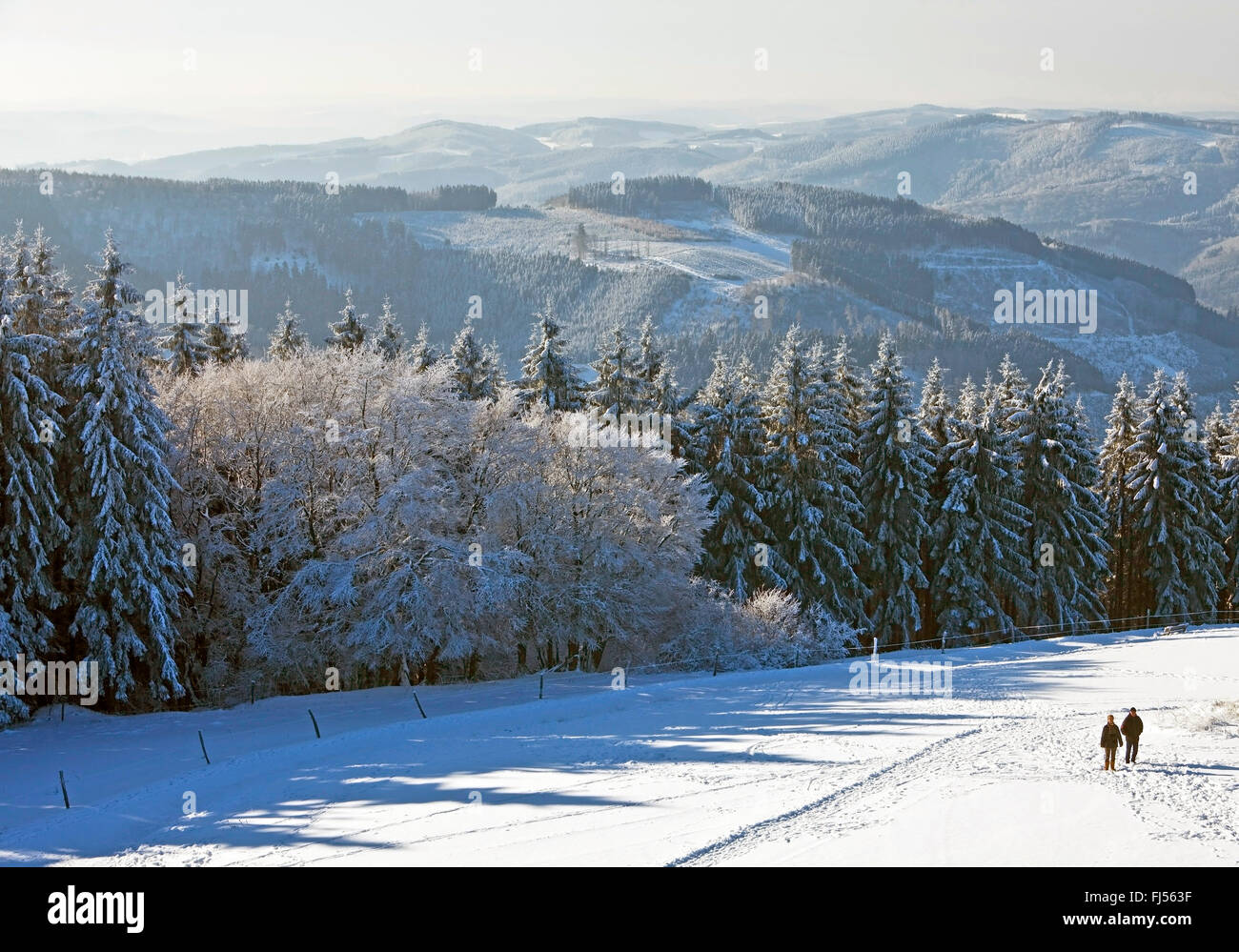 Vista di bassa catena montuosa vicino Wildewiese in inverno, in Germania, in Renania settentrionale-Vestfalia, Sauerland, Sundern Foto Stock