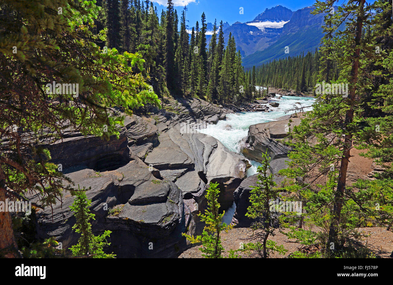 Mistaya Canyon nelle Montagne Rocciose, Canada, Alberta, il Parco Nazionale di Banff Foto Stock