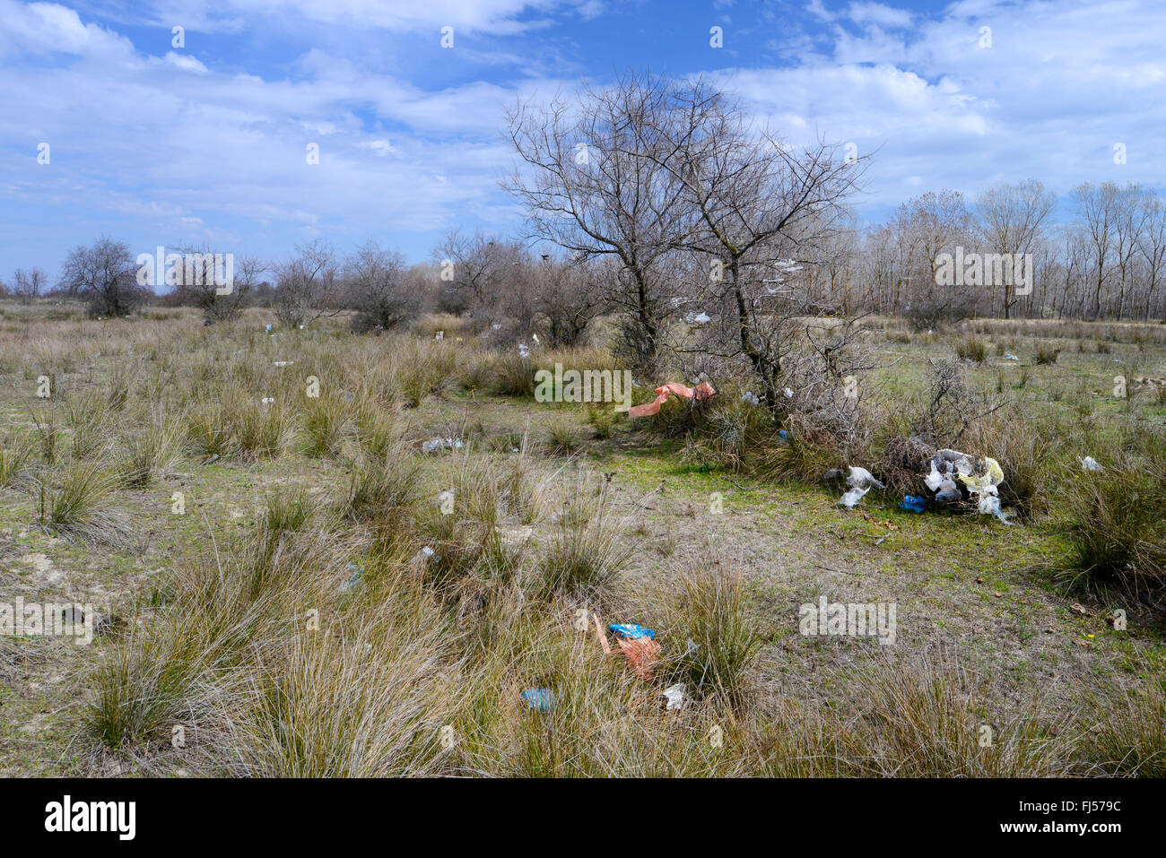Inquinamento ambientale al delta del Danubio, Romania, Dobrudscha, Biosphaerenreservat Donaudelta, Gheorgh SfÔntu Foto Stock