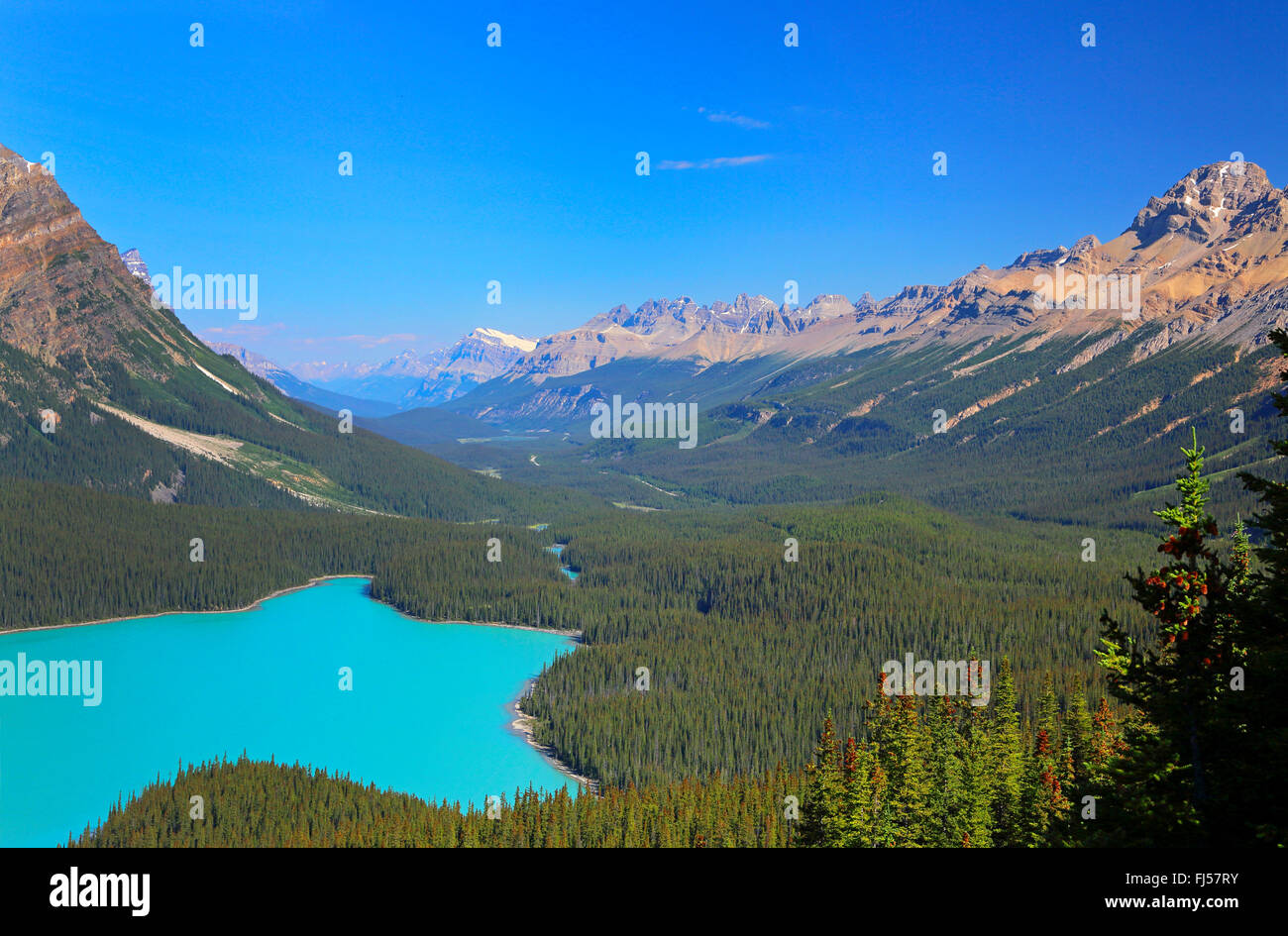 Il Lago Peyto con acqua turchese, montagne rocciose, Canada, Alberta, il Parco Nazionale di Banff Foto Stock