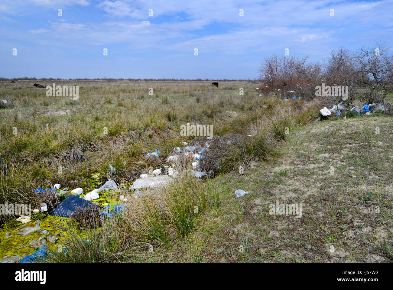 Inquinamento ambientale al delta del Danubio, Romania, Dobrudscha, Biosphaerenreservat Donaudelta, Gheorgh SfÔntu Foto Stock