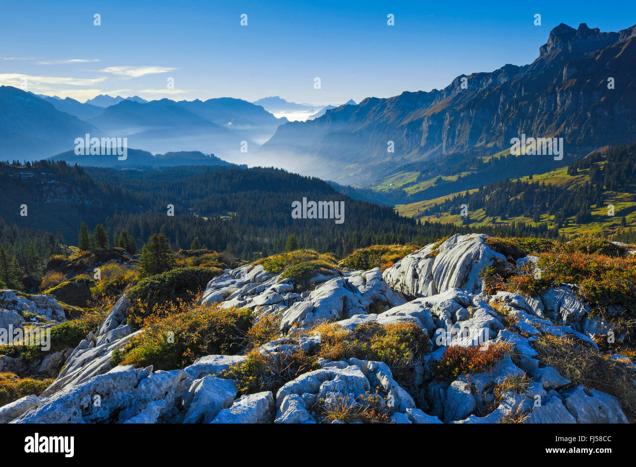 Paesaggio carsico presso il Pragelpass, Svizzera, Berner Alpen Foto Stock