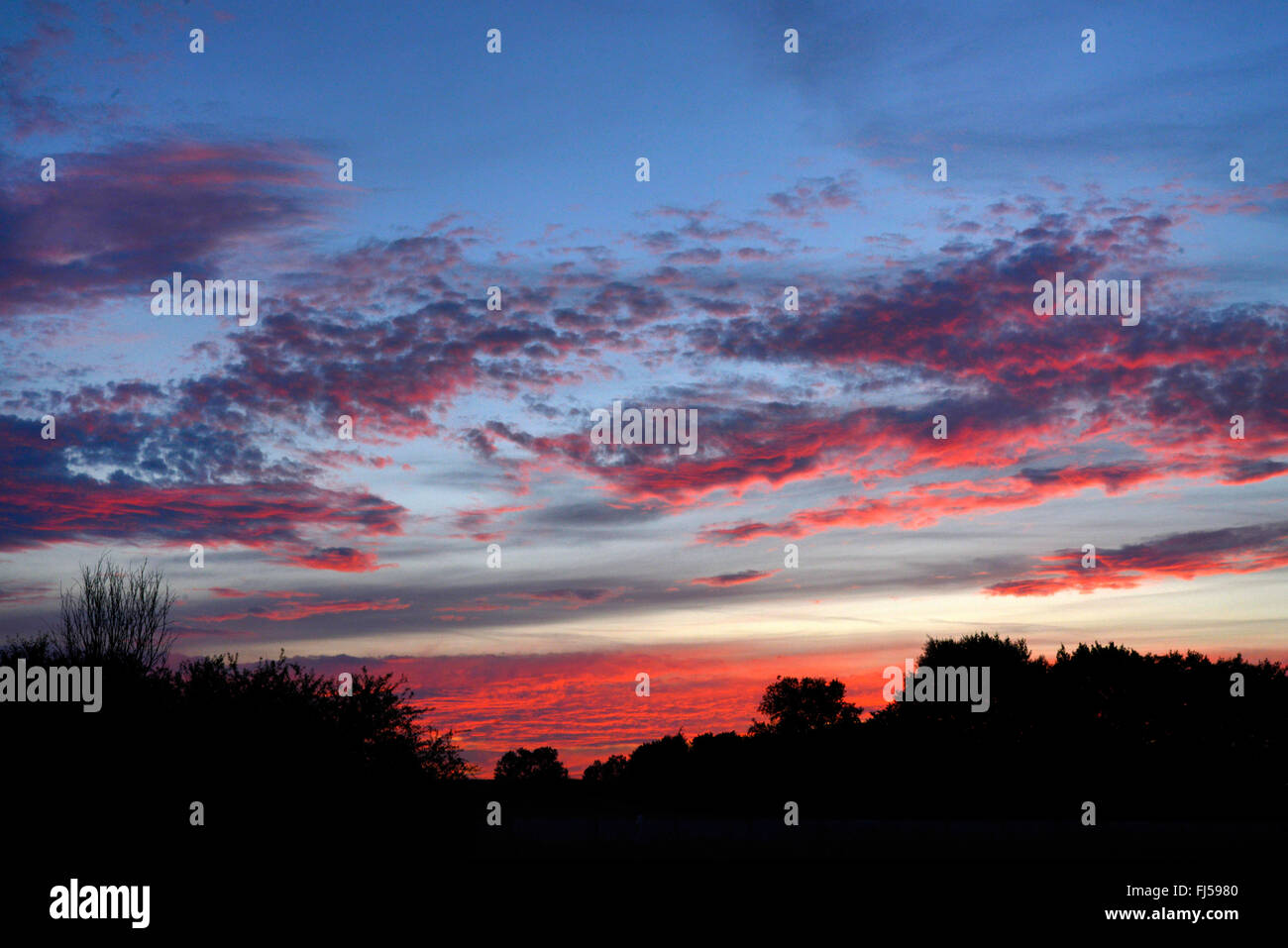 Bagliore di sera, GERMANIA Baden-Wuerttemberg, Oberschwaben Foto Stock