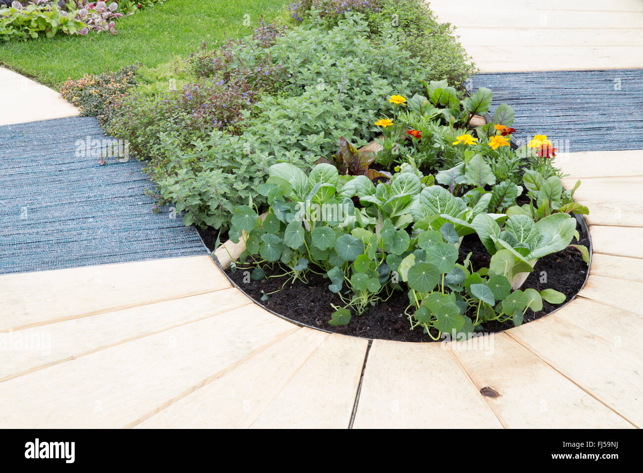 Giardino percorso fatto dal riutilizzo di legname e di moquette vecchia, giardino piantato con i nasturzi, calendula, pak choi - Il Santuario Giardino fo Foto Stock