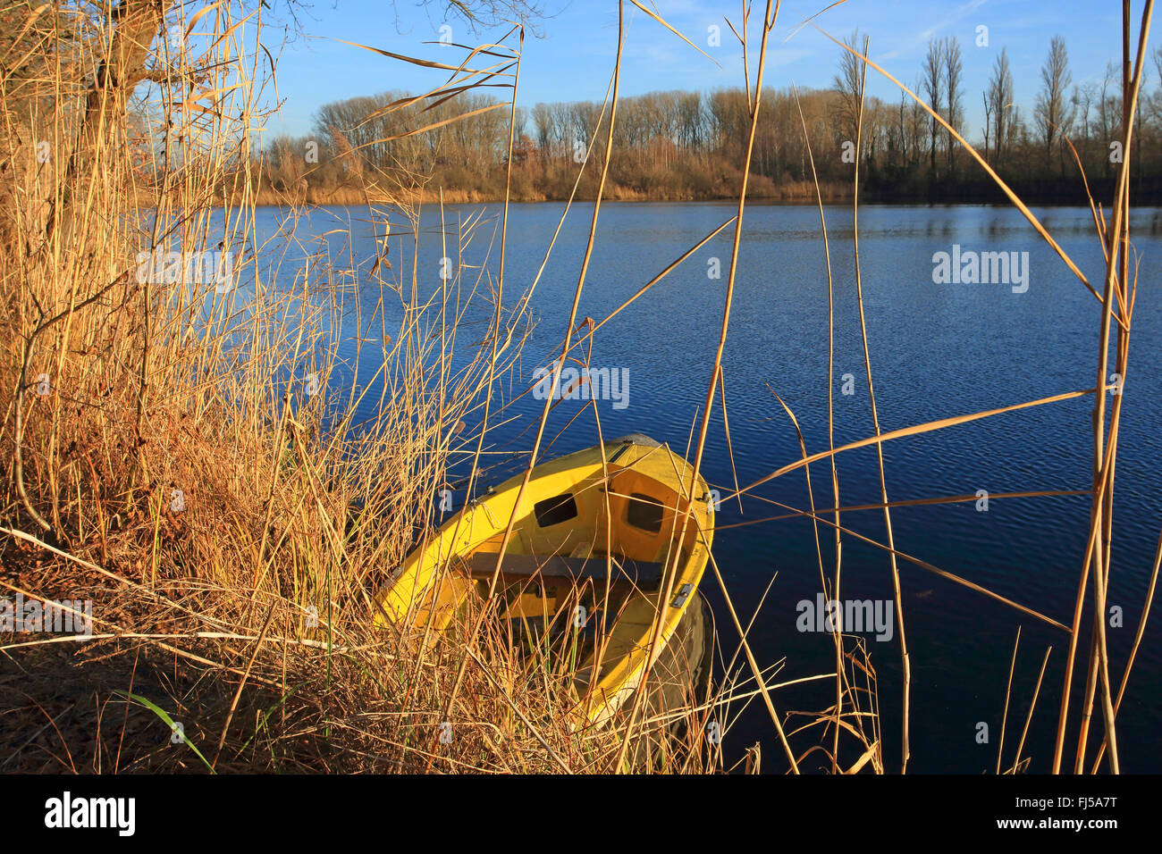 Cassa di espansione del fiume in inverno, GERMANIA Baden-Wuerttemberg Foto Stock