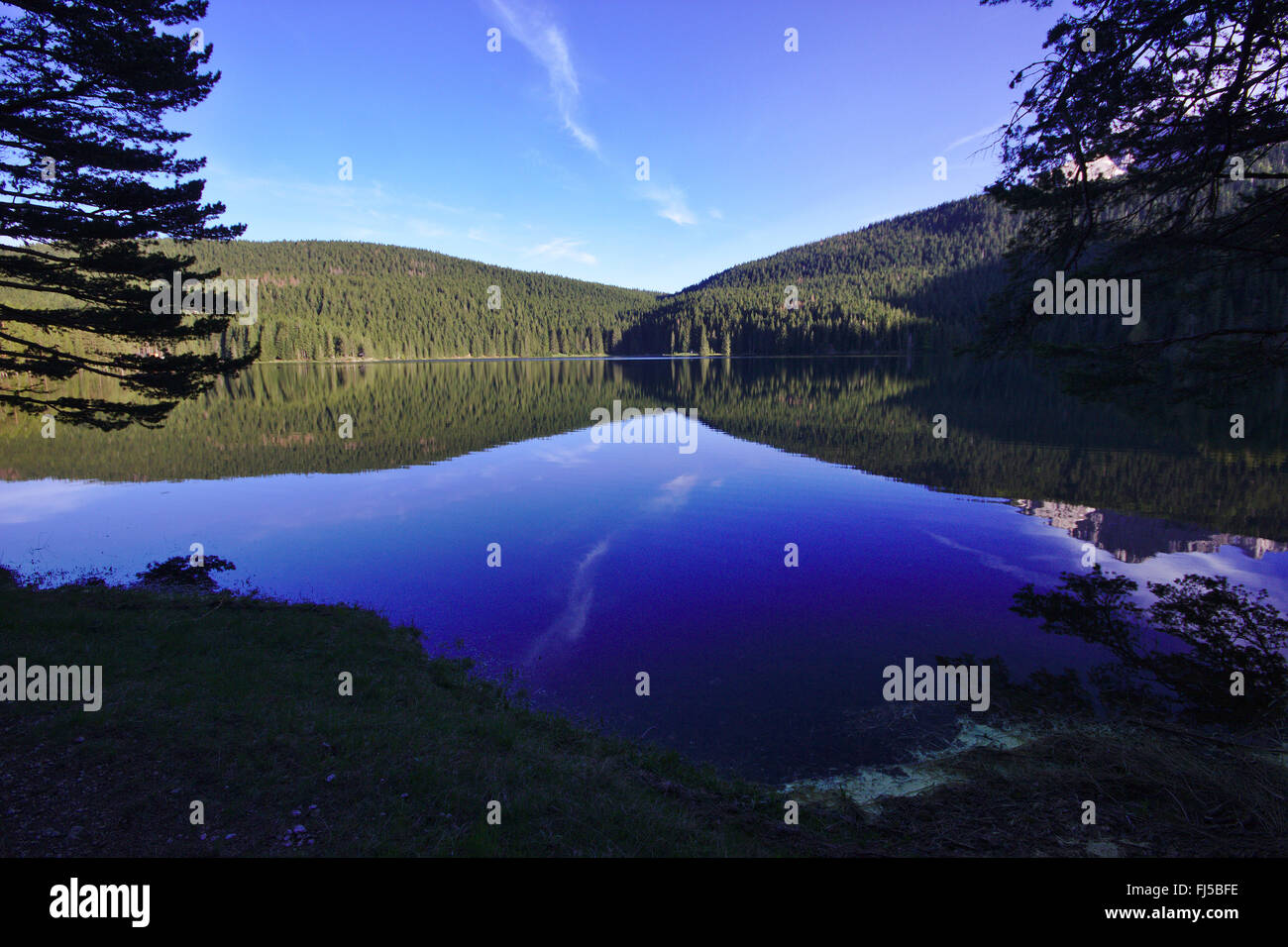 Blake Lago Crno Jezero, lago glaciale sul Durmitor, Montenegro, Parco Nazionale del Durmitor, Zabljak Foto Stock