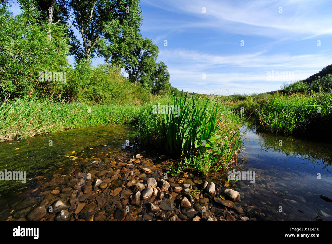 Sovradimensionate fiume Nahe, in Germania, in Renania Palatinato, Bad Kreuznach Foto Stock
