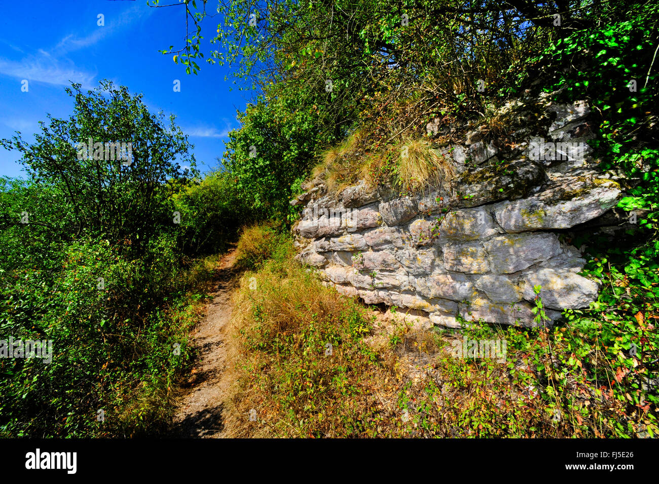 Muro di pietra naturale nel Nahe valley, habitat per rettili, in Germania, in Renania Palatinato, Bad Kreuznach Foto Stock