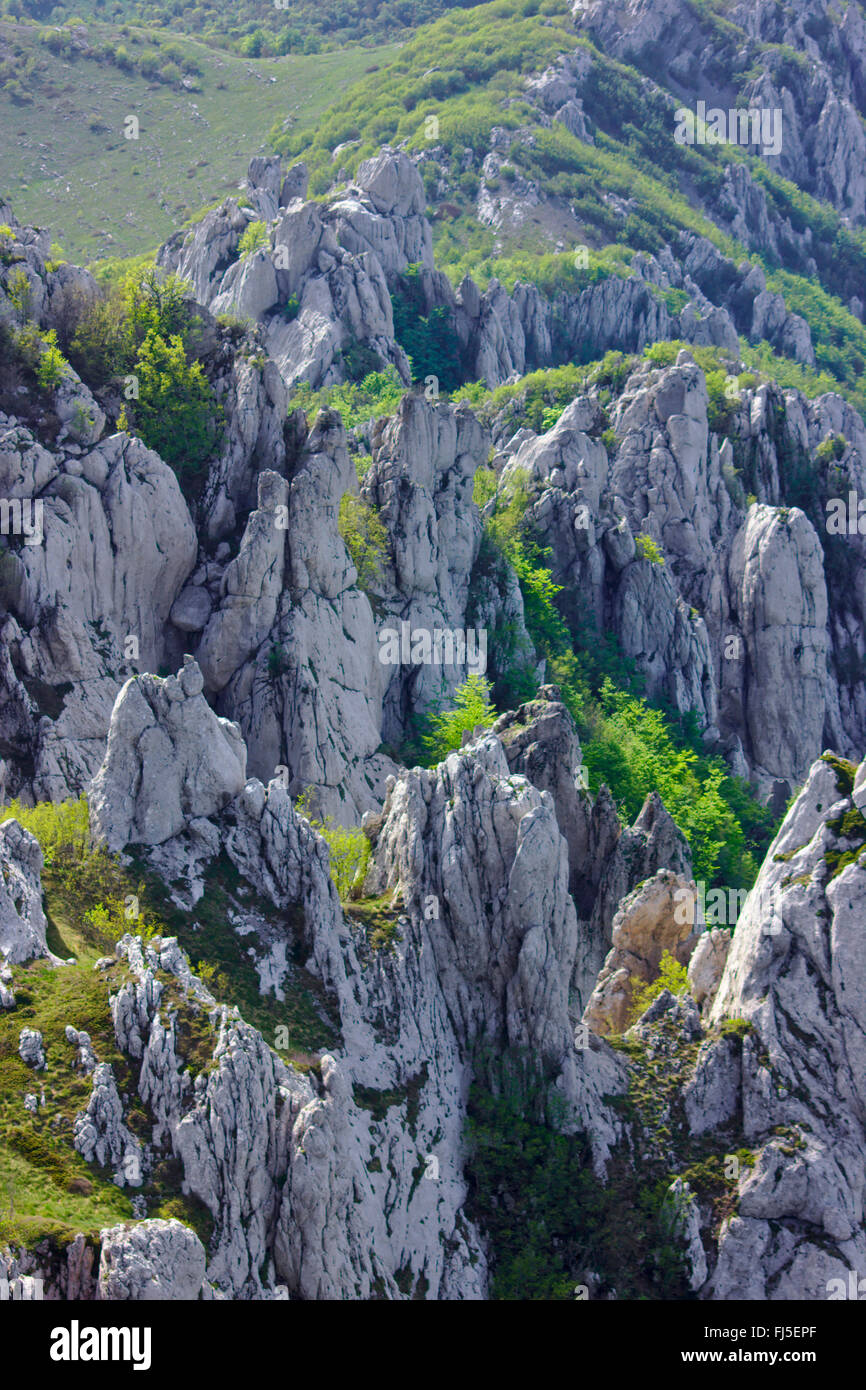 Rocce calcaree nella montagna di Velebit gamma, vista da Kiza, Croazia Foto Stock