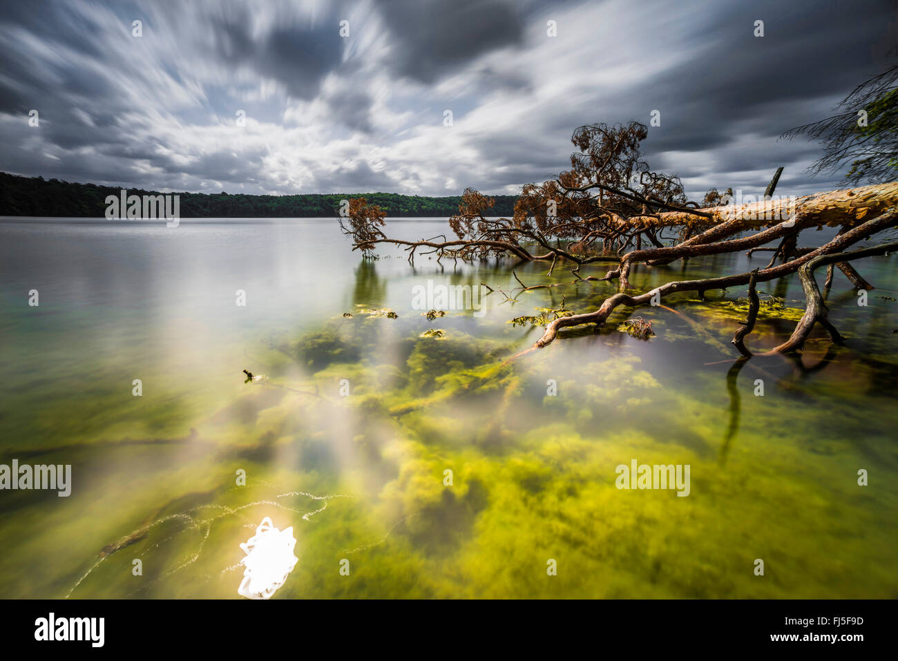 Il lago in tempesta umore, Germania, Brandeburgo, Stechlin, Neuglobsow Foto Stock