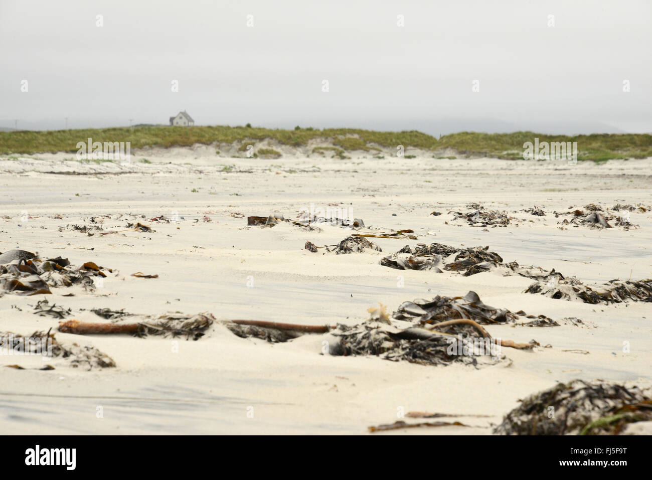 La spiaggia di Askernish su un grigio e breezy day. Una casa singola all'orizzonte dietro le dune. South Uist, Ebridi Esterne, Scozia Foto Stock