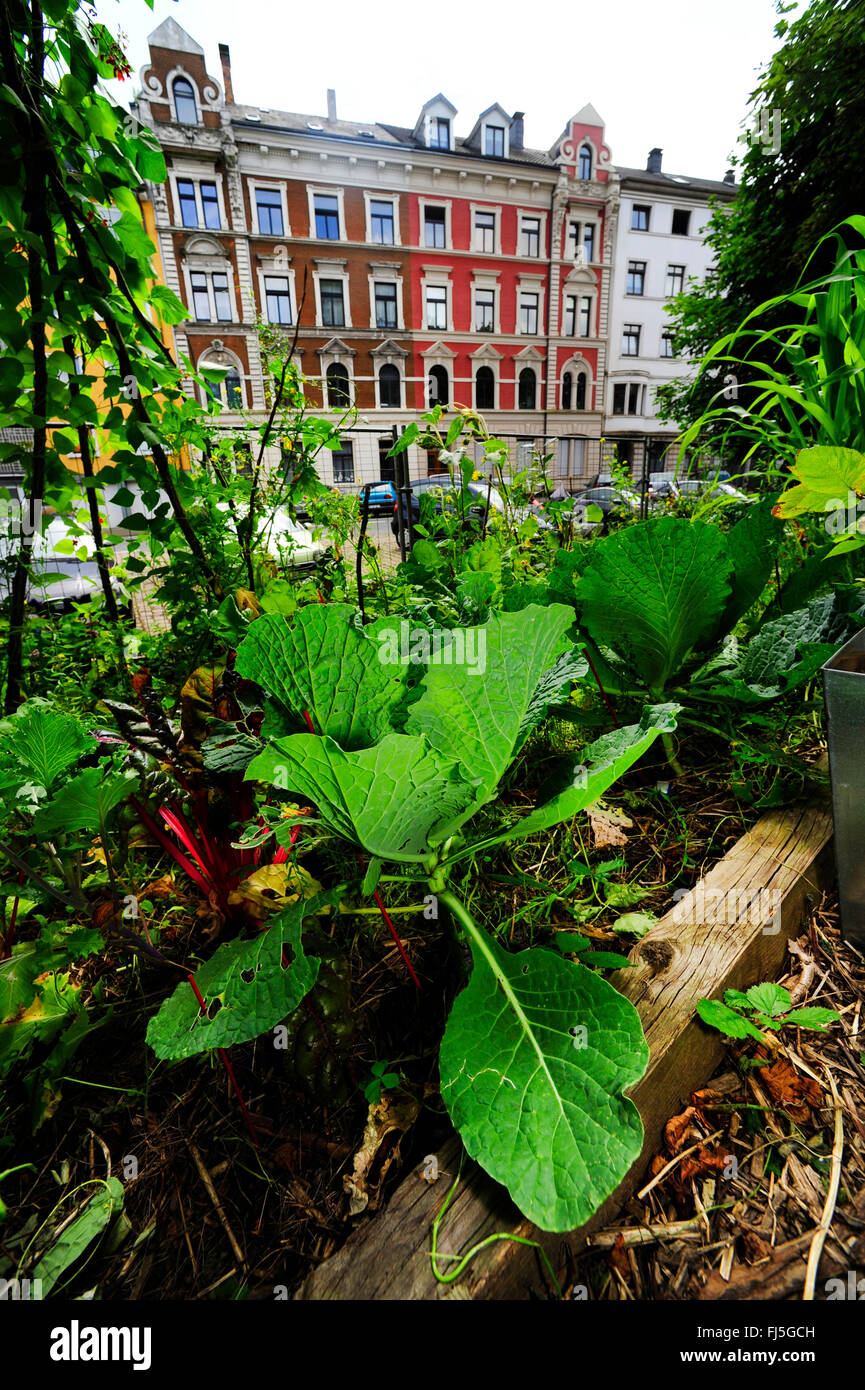 Il giardinaggio urbano a Wuppertal, Germania, Bergisches Land, Wuppertal-Elberfeld Foto Stock