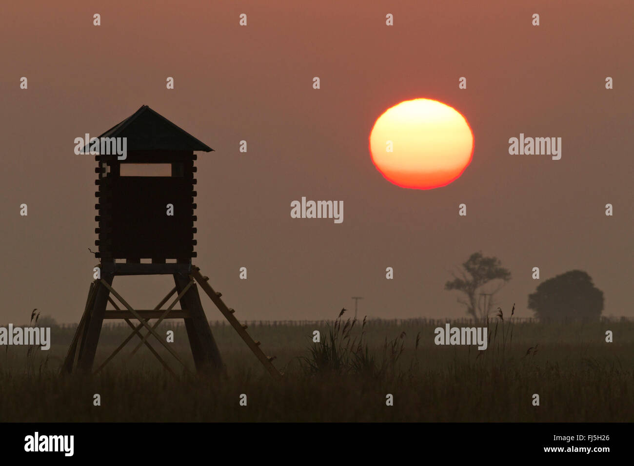 Sunrise al Seewinkel, Austria, Burgenland Foto Stock