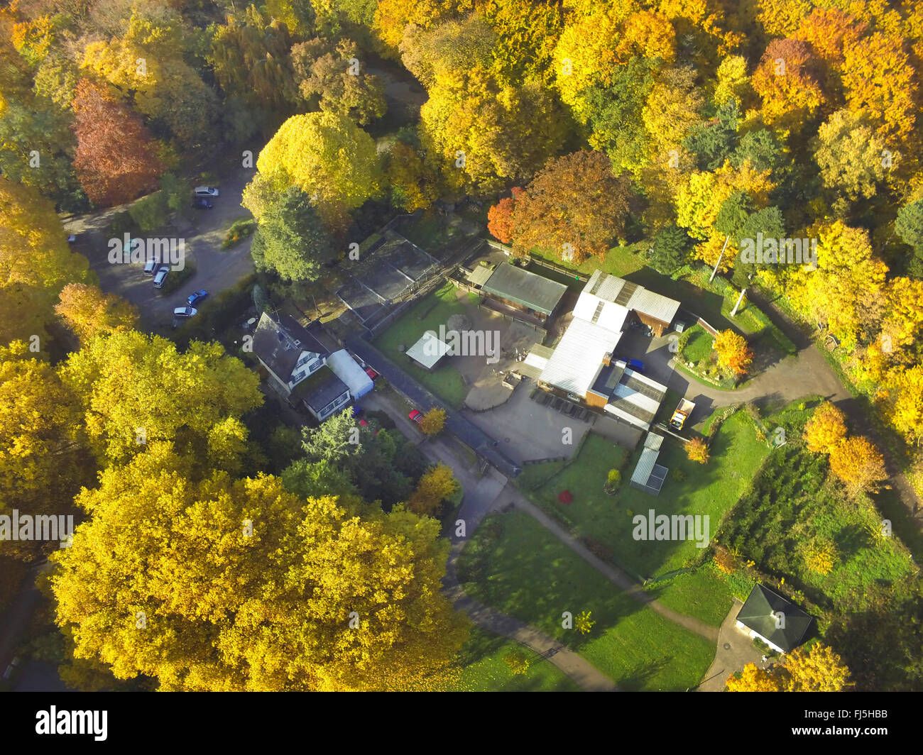 Vista aerea di petting zoo e Game Reserve Hohenstein in autunno, in Germania, in Renania settentrionale-Vestfalia, la zona della Ruhr, Witten Foto Stock