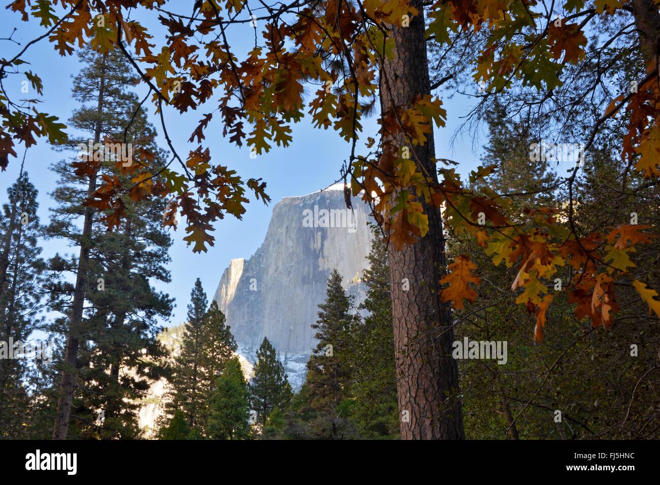 Half Dome, il Parco Nazionale Yosemite in California Foto Stock
