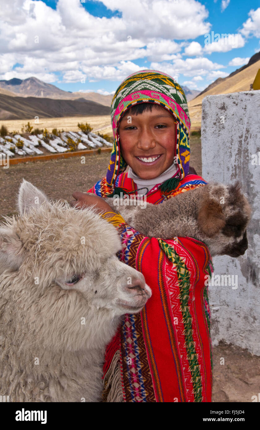 Alpaca (Lama pacos, Vicugna pacos), ragazzo peruviano in abbigliamento  tradizionale con alpaca ritratto di un bambino, Perù, La Raya Foto stock -  Alamy