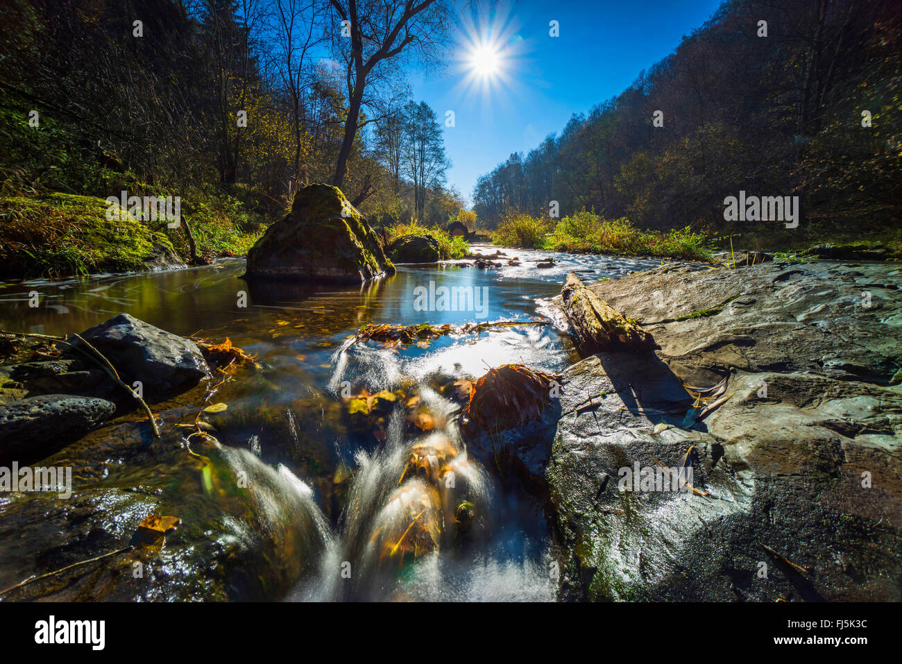 Paesaggio fluviale in autunno in controluce, Germania, Sassonia, Vogtlaendische Schweiz, Triebtal Foto Stock