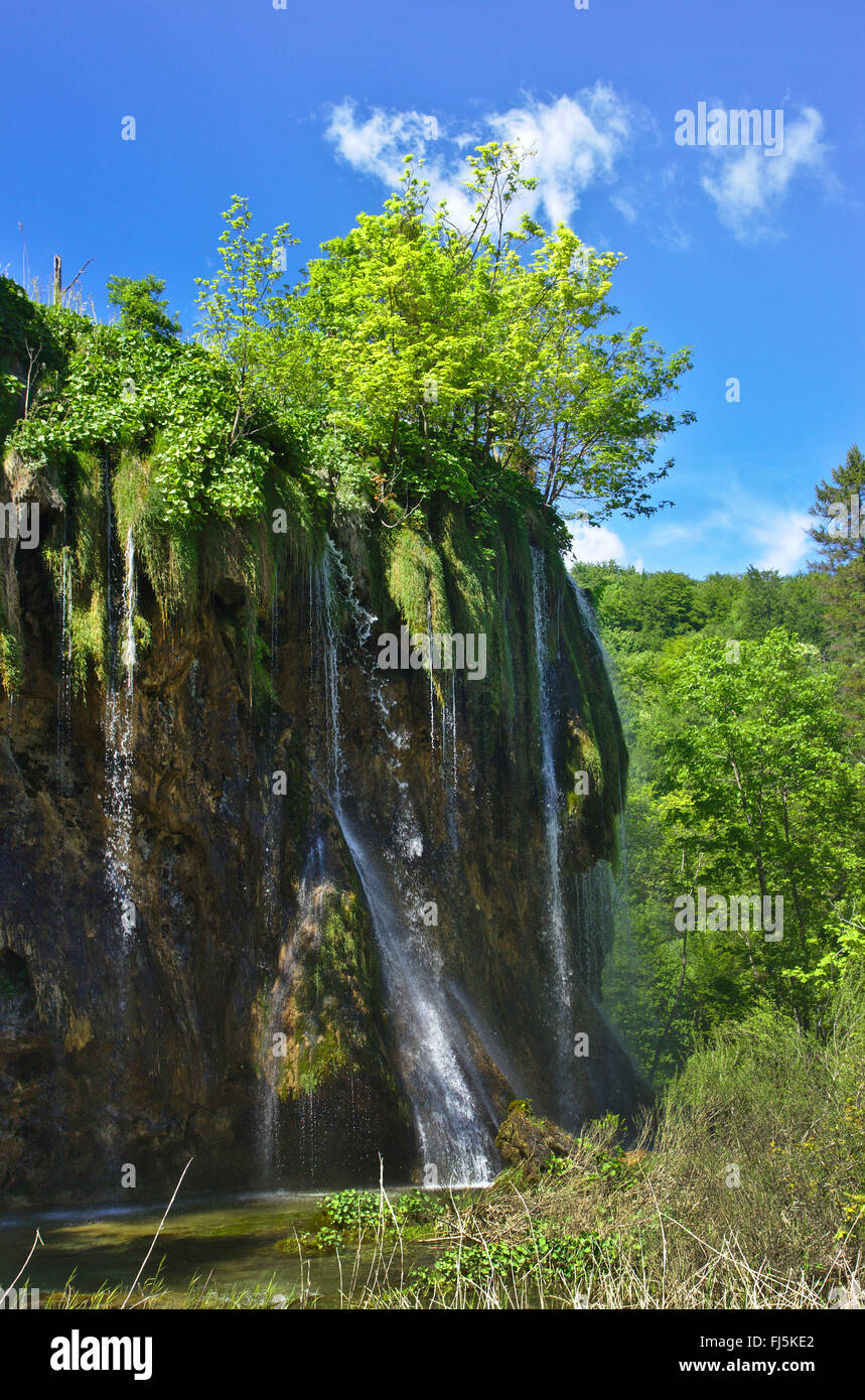 La cascata nel Parco Nazionale dei Laghi di Plitvice, Croazia, il Parco Nazionale dei Laghi di Plitvice Foto Stock