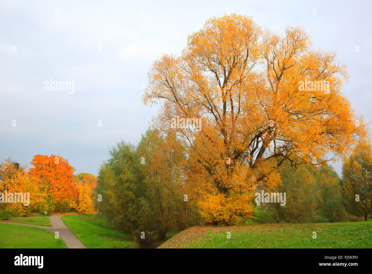 Parco con titolo in autunno, Germania Foto Stock