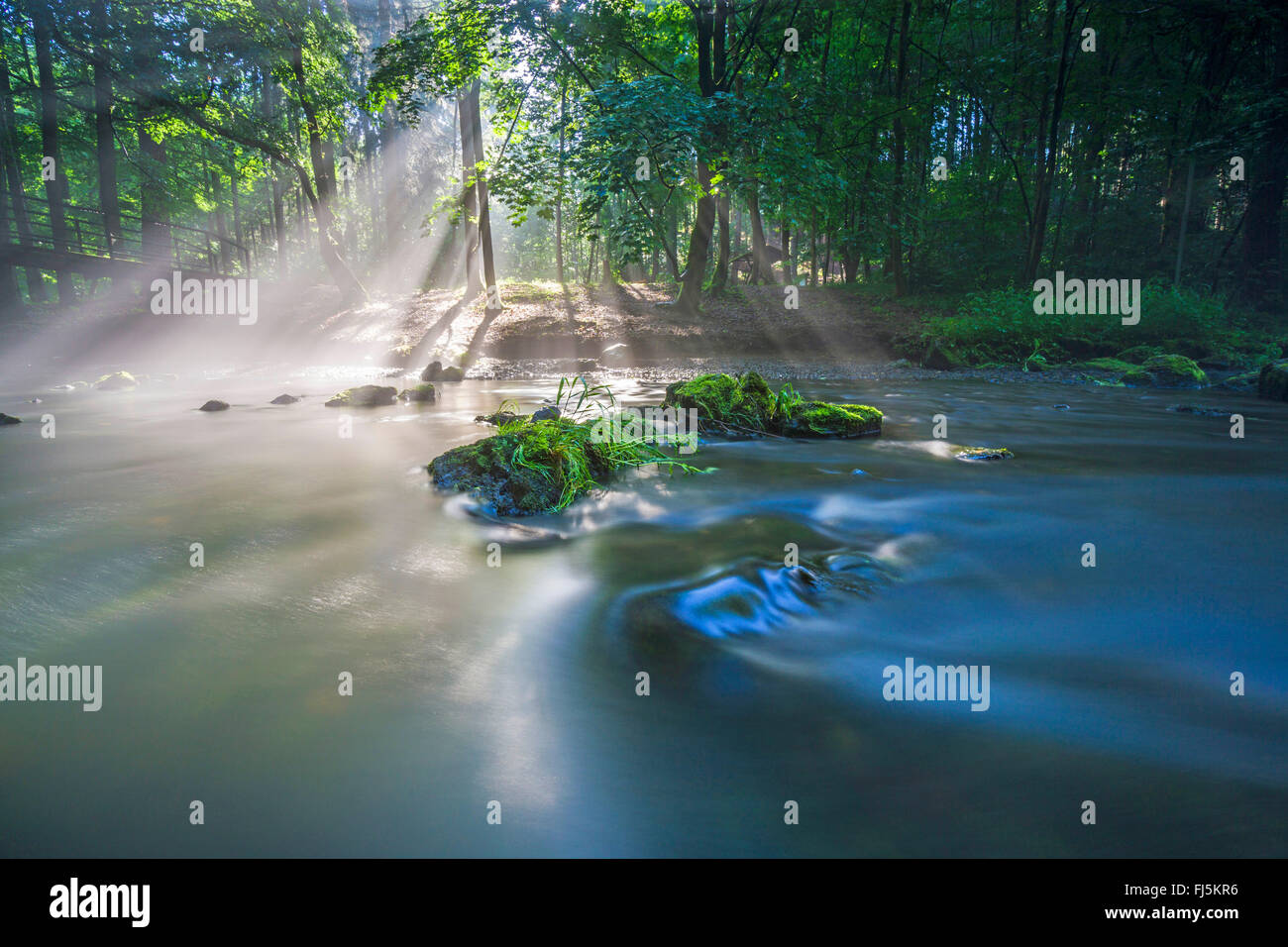 Raggi di sole a riva del fiume, in Germania, in Sassonia, Vogtlaendische Schweiz, Triebtal Foto Stock