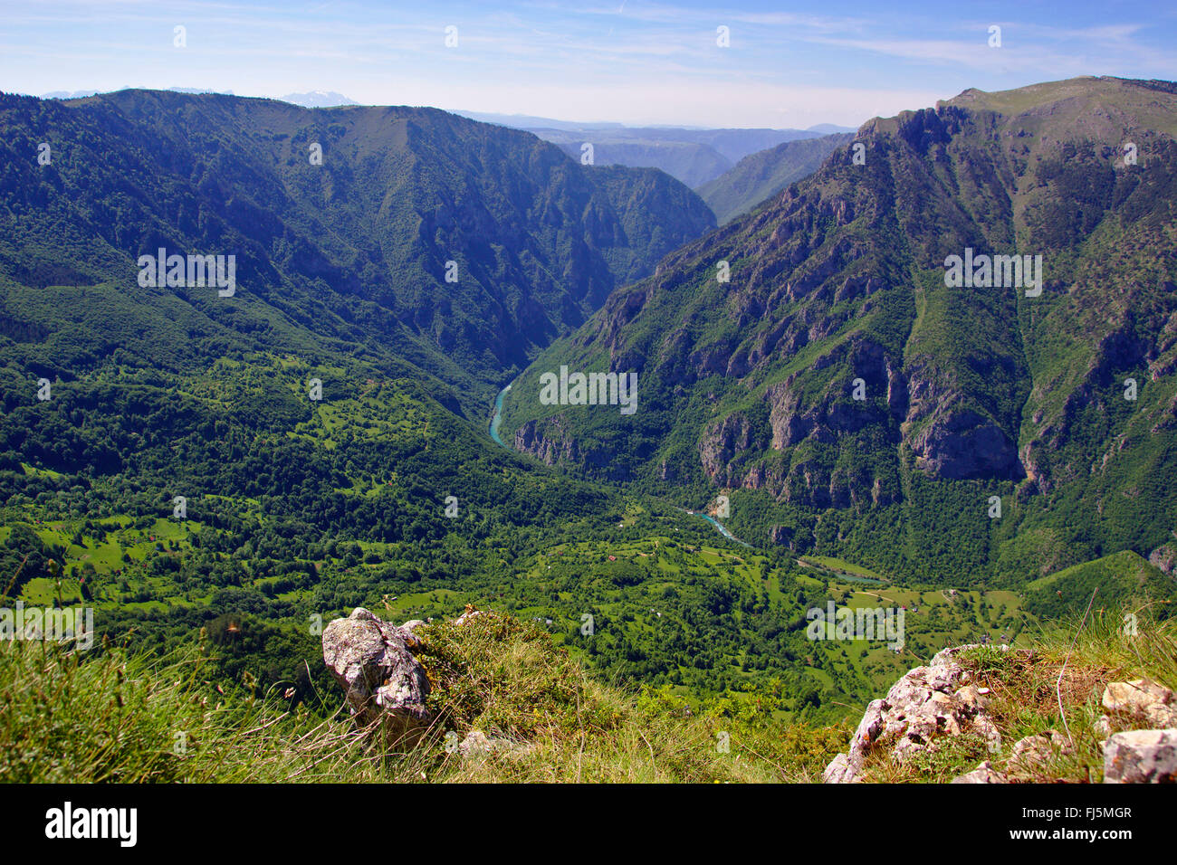 Vista da Curevac al fiume Tara canyon e il più lungo e più profondo canyon in Europa, Montenegro, Parco Nazionale Durmitor Foto Stock