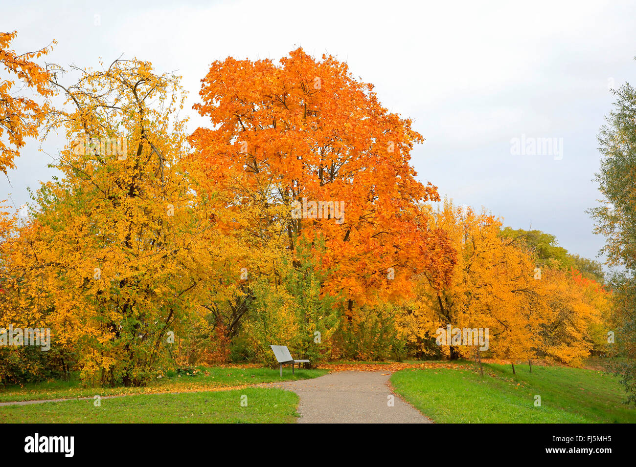 Parco con titolo in autunno, Germania Foto Stock
