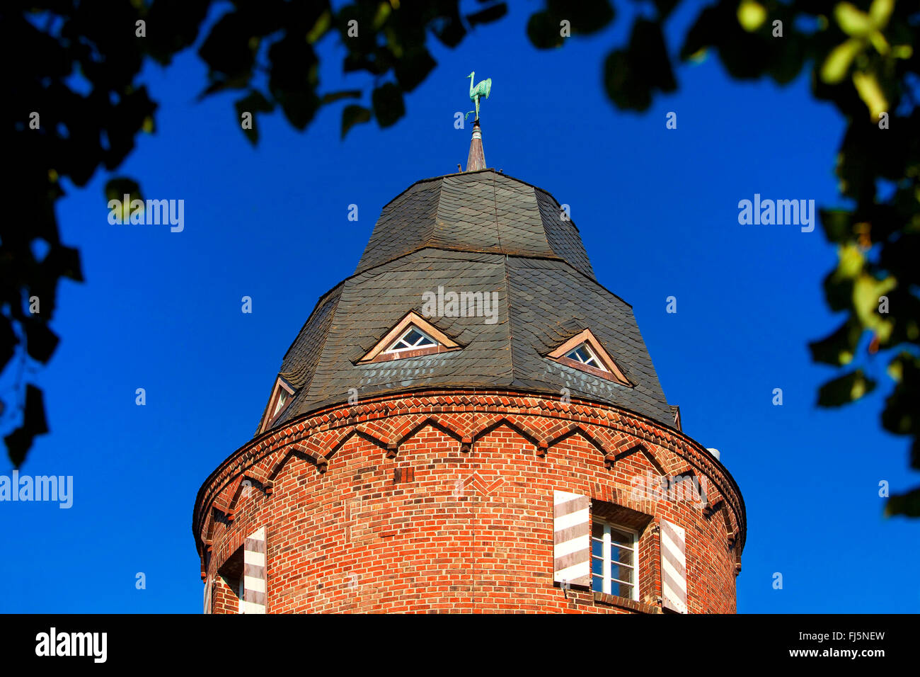 Muehlenturm con gru, animale araldico della città, in Germania, in Renania settentrionale-Vestfalia, Basso Reno, Kranenburg Foto Stock