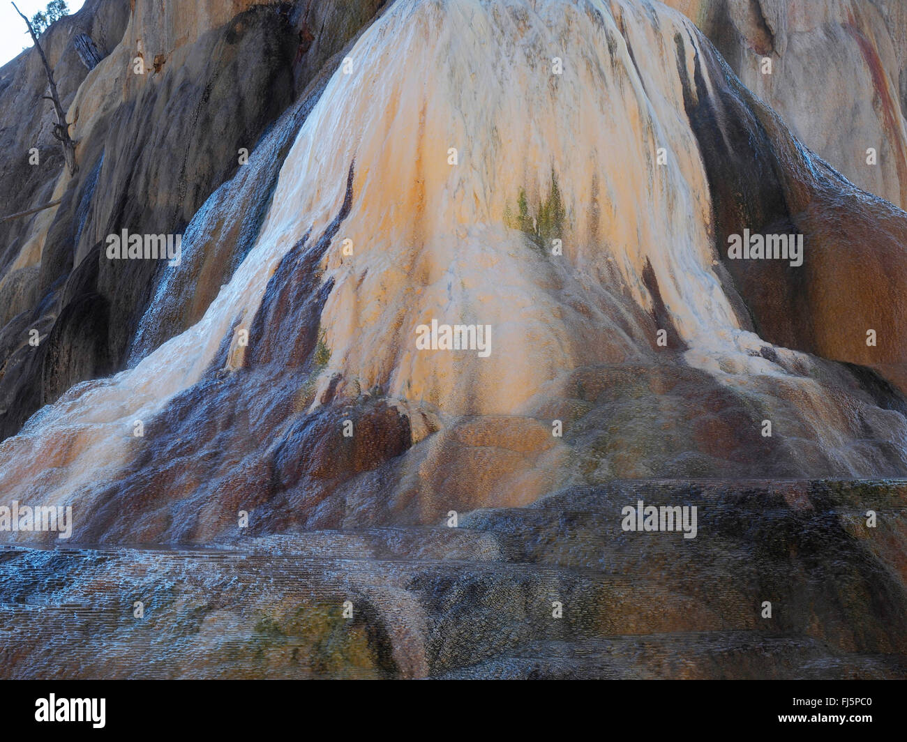 Mammoth Hot Springs, Orange Spring Mound, USA, Wyoming, il Parco Nazionale di Yellowstone Foto Stock