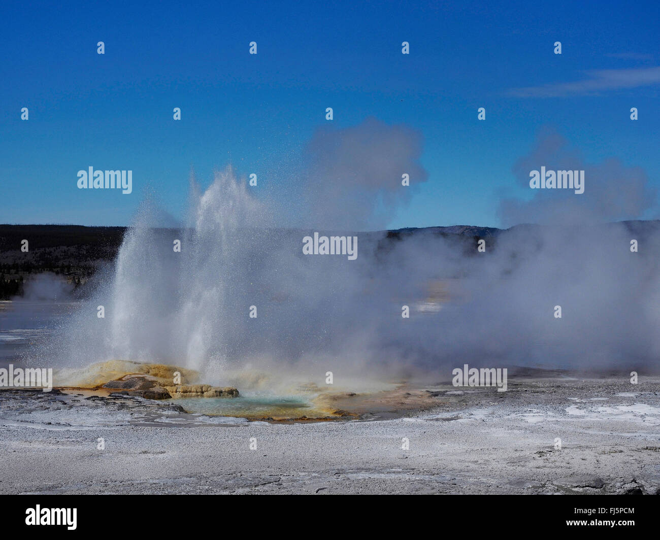 A clessidra Geyser, inferiore Geyser Basin, USA, Wyoming, il Parco Nazionale di Yellowstone Foto Stock