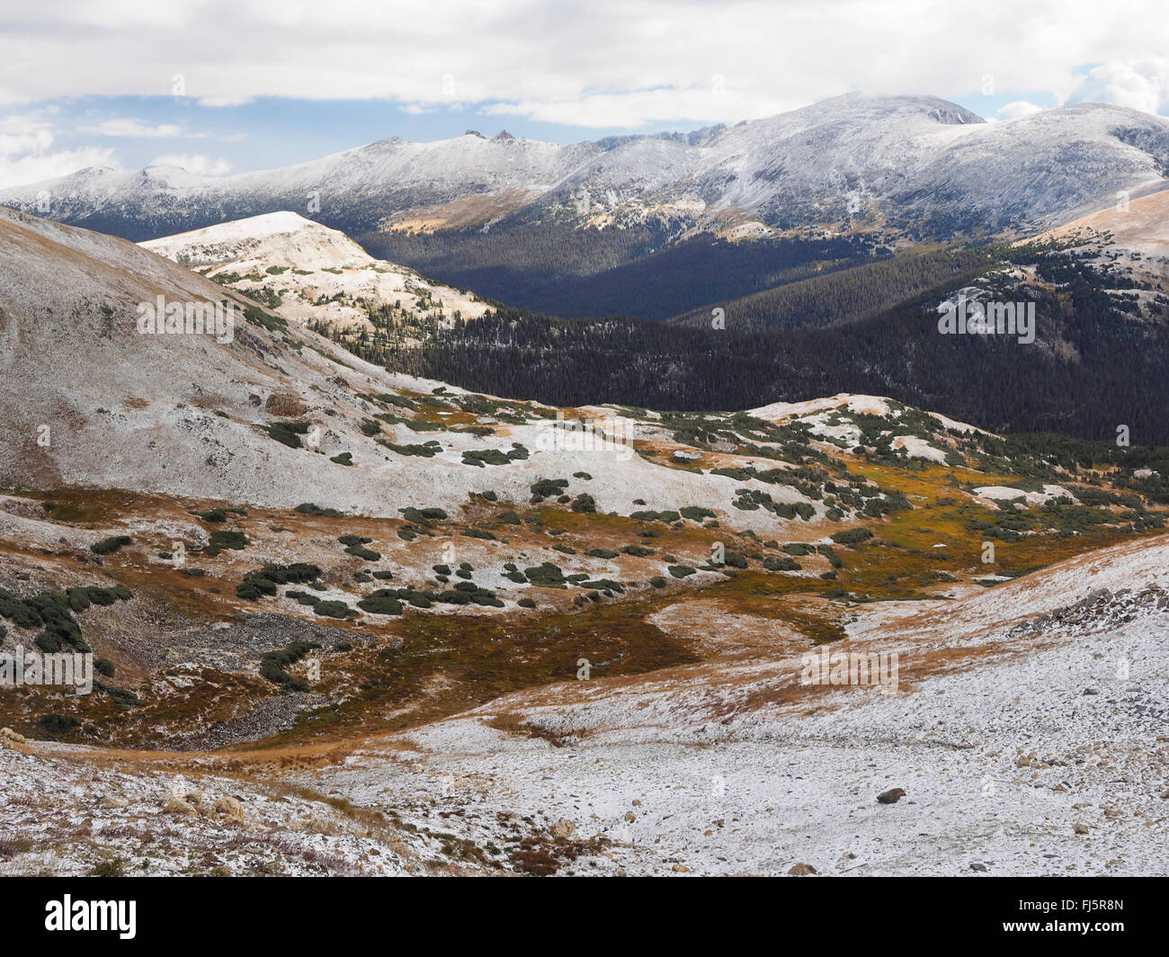 Vista dal Trail Ridge Road sul paesaggio del Parco Nazionale, STATI UNITI D'AMERICA, Colorado, Parco Nazionale delle Montagne Rocciose Foto Stock