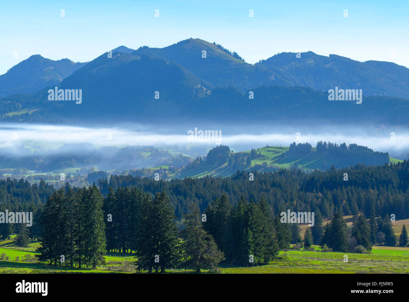 Vista da Wertach a Pfronten gruppo di montagna con la terra della nebbia, in Germania, in Baviera, Allgaeu Foto Stock